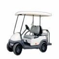 2 Seater Electric Golf Cart
