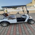 2 Seater Electric Golf Cart, Max Km Per Charge: 60 Km, Loading Capacity: 500 Kgs