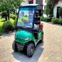 2 Seater Golf Buggy - Golf cart buggy