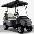 2 Seater Golf Course Electric Buggy Model In Campus Purpose