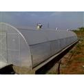 Solar Dryer for Small Scale Industries, 20 Kg Solar Dryer Sustainable Solution