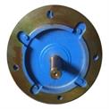 Electric Flange Motors