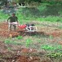 Diesel Motorized Power Weeder, 6 HP, 200 kg/hr