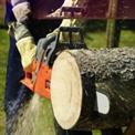 Ralli 58-cc Petrol Chainsaw Machine with 22 inch Guide Bar  Ideal for Cutting Tree, Firewood  CS-58