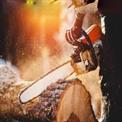 Ralli 58-cc Petrol Chainsaw Machine with 22 inch Guide Bar  Ideal for Cutting Tree, Firewood  CS-58