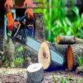72 cc 22 inch Gasoline Chainsaw