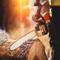 Farmic 62 cc 22 Inch Chain Saw Perrol
