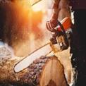 68 cc 22inch Petrol Chainsaw, 20 Inch