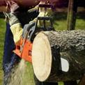 68 cc 22inch Petrol Chainsaw, 20 Inch