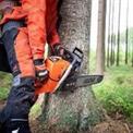 68 cc 22inch Petrol Chainsaw, 20 Inch