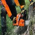 68 cc 22inch Petrol Chainsaw, 20 Inch