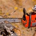 68 cc 22inch Petrol Chainsaw, 20 Inch