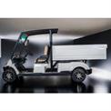 Saera U 100 2 Seater Cargo Golf Cart