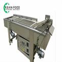 Automatic Snacks Frying Machine