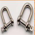 SS D Shackle (Size - 20MM)