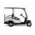 2 Seater Electric Golf Cart