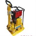 Diesel Engine Reversible Plate Compactor