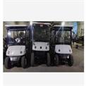Electric Golf Cart