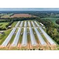 Poultry Sheds