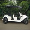 6 Seater Golf Cart Rental Services