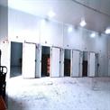 1000 Metric Ton Cold Storage Plant