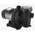 pool Pump 1.5hp Single Phase