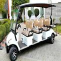8 Seater Electric Golf Cart