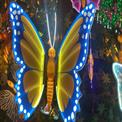 LED BUTTERFLY LIGHT