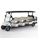 Golf Cart Buggy