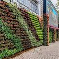 Vertical Gardening Services