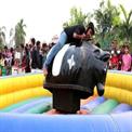 Mechanical Bull Ride
