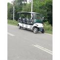 Golf cart 12 Seater