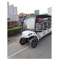 Golf carts 8 Seater