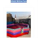Inflatable Bull Ride Game