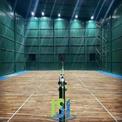 Brown Teak Wood Wooden Badminton Court Flooring, in India