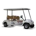 4 Golf Cart Rental Service
