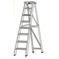 Aluminium Self Supporting Ladders