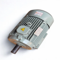 22 KW Three Phase Ac Induction Motor