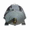 22 KW Three Phase Ac Induction Motor