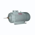 22 KW Three Phase Ac Induction Motor
