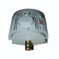 22 KW Three Phase Ac Induction Motor