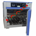 250 Degree Celsius Stainless Steel PRYG-037 Hot Air oven, Size: 24