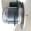 2750 Rpm Aaco Burner Motor 250 W (Ecoflam Type), Single Phase, 230 Vac