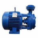 3 HP Centrifugal Mono Block Pump, Model Name/Number: MB6550-030