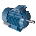 3 HP Crompton Greaves Motor, 3000 rpm