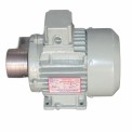 3 HP Diamond Polishing Motor, 3000 rpm
