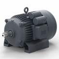 4 Pole Lubi Single Phase Induction Motor, 1440 rpm