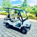 4 Seater Electric Buggy