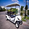 4 Seater Golf Cart
