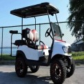 4 Seater Golf Cart Rental Services